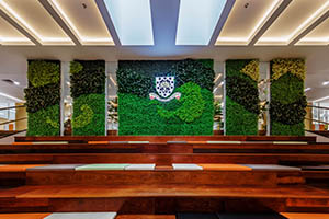 北京市朝阳区赫德学校校园环境