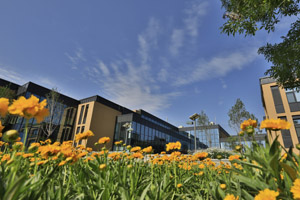 北京海淀凯文学校校园环境