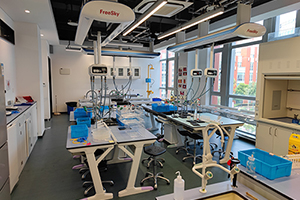 圣华紫竹学院校园环境