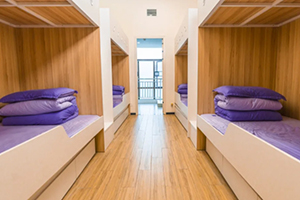 中黄外国语实验学校校园环境