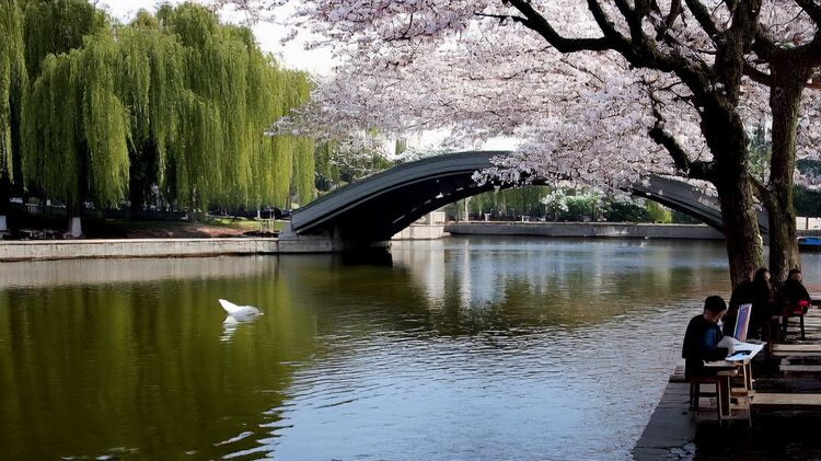 国际学校朝阳凯文