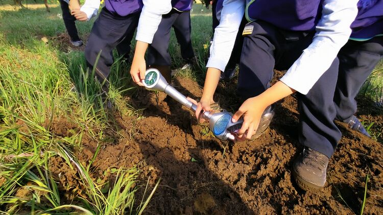 贝赛思深圳国际学校南山
