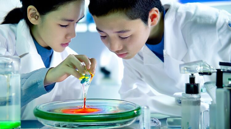 东莞哪些国际学校