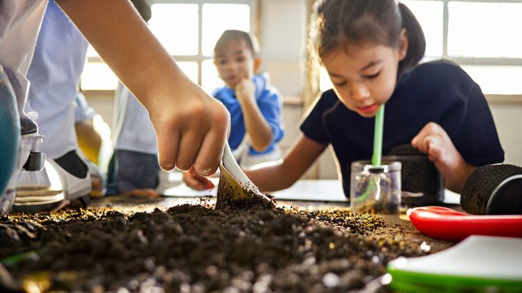 美中国际爱智学校