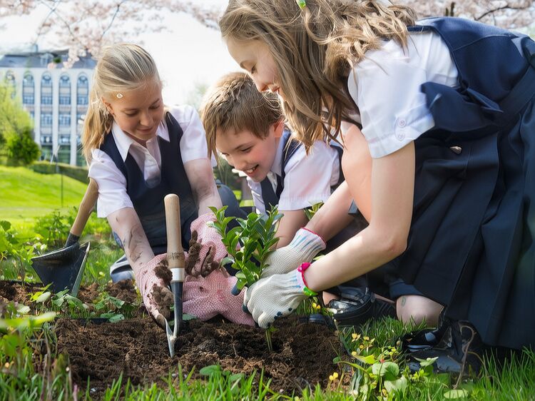 博达国际教育学校