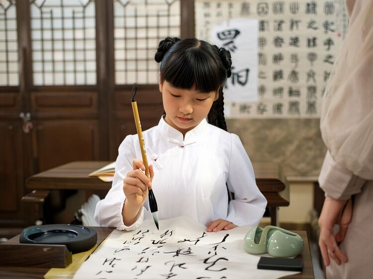 北京青苗国际学校幼儿园学费
