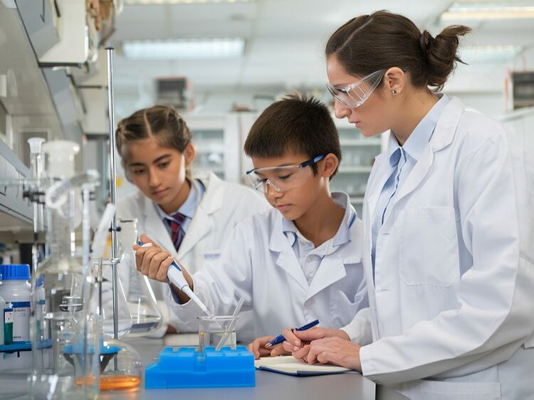 昌平国际学校有哪些