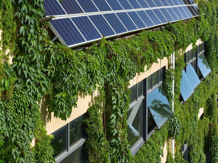 广东国际学校排名榜