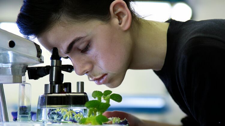 北京国际学校王府