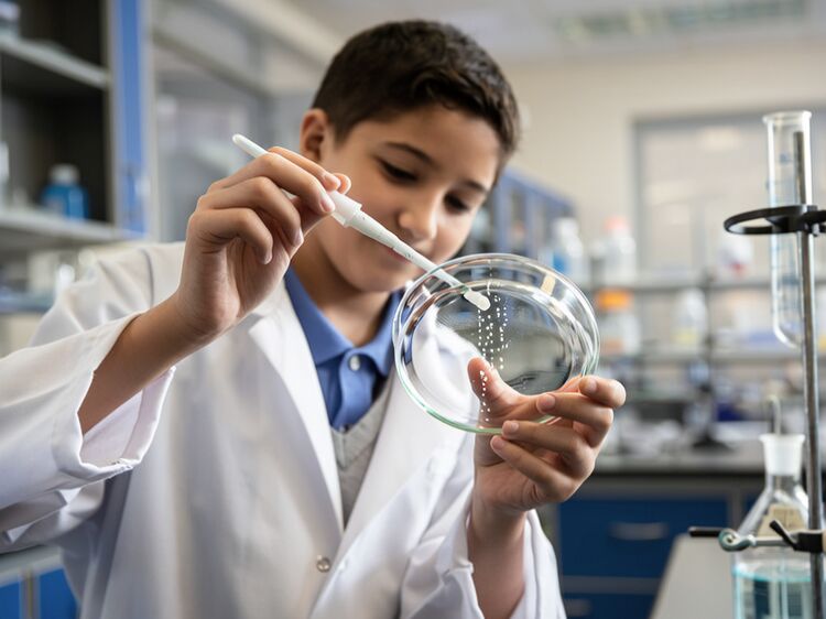 爱迪国际学校在哪