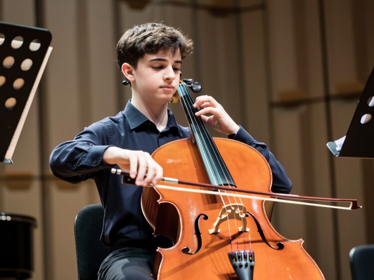 cis佛山国际学校