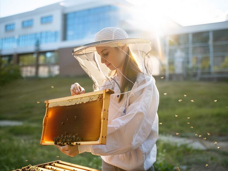 2025北京丰台区国际高中学费对比一览表，快看哪所国际高中性价比高？