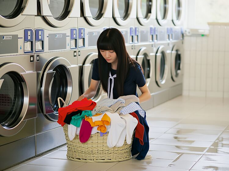 常外cbs国际学校