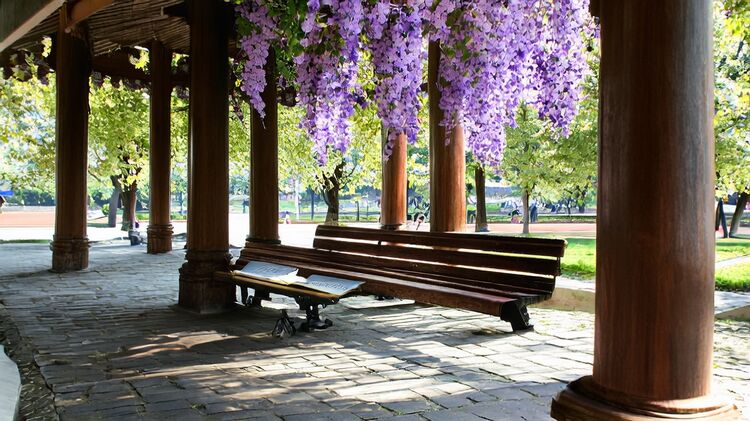 上海美高双语国际学校学费