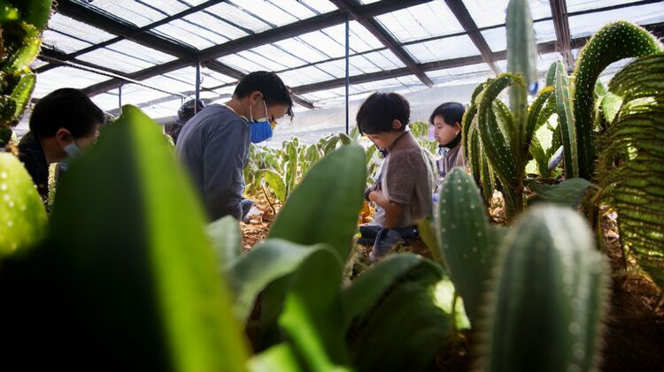 虹桥国际学校上海