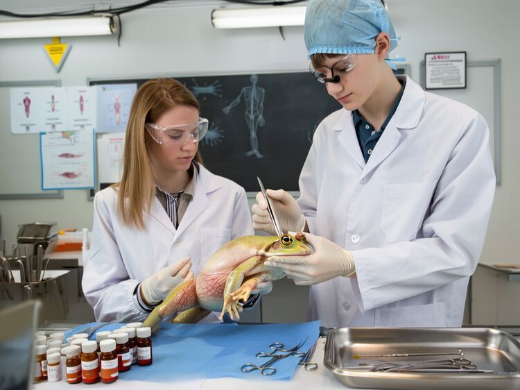 南通私立初中排名一览表