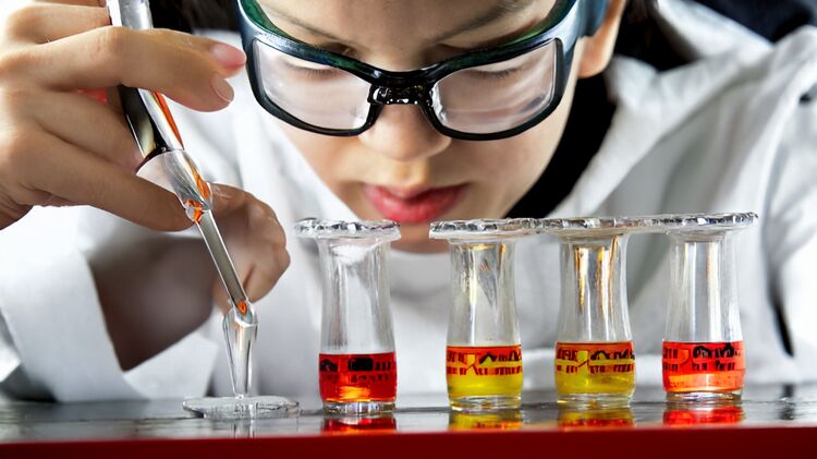 上海国际学校初中部有哪些学校