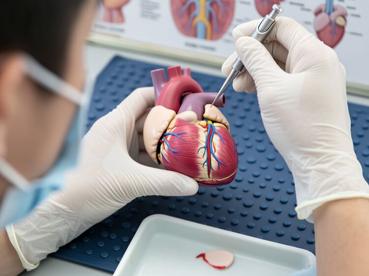 北京朝阳区国际高中哪家强？公立民办外籍学校全解析