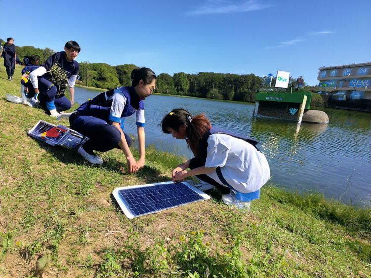 国际学校需要多钱