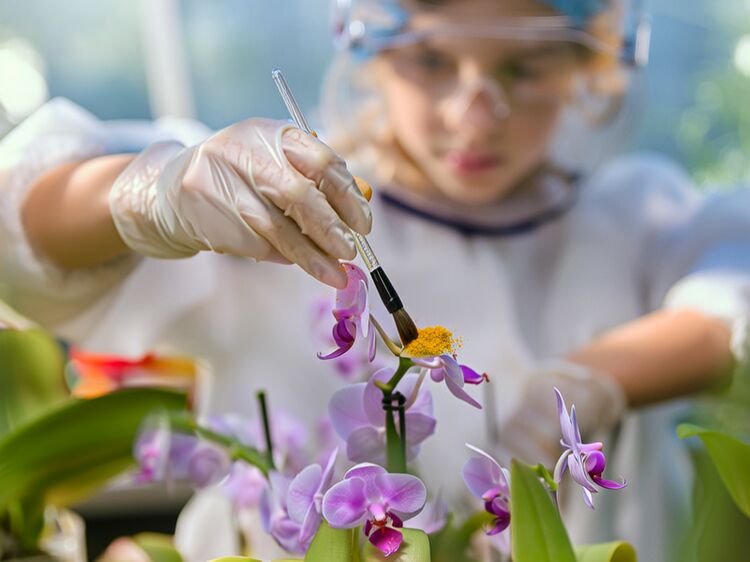 宝楠国际学校官网