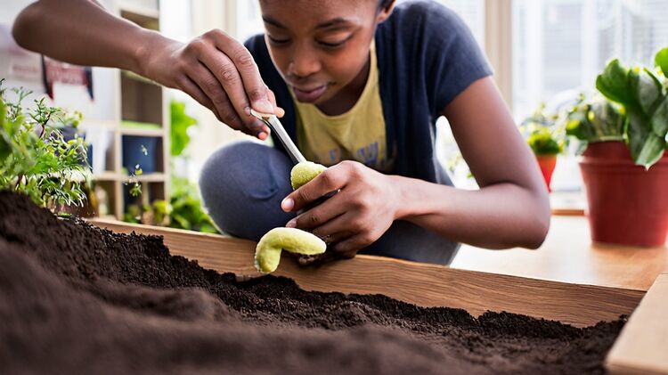 朝阳区国际部学校